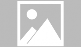 今日美国爆料新闻内容,最新爆料震惊公众